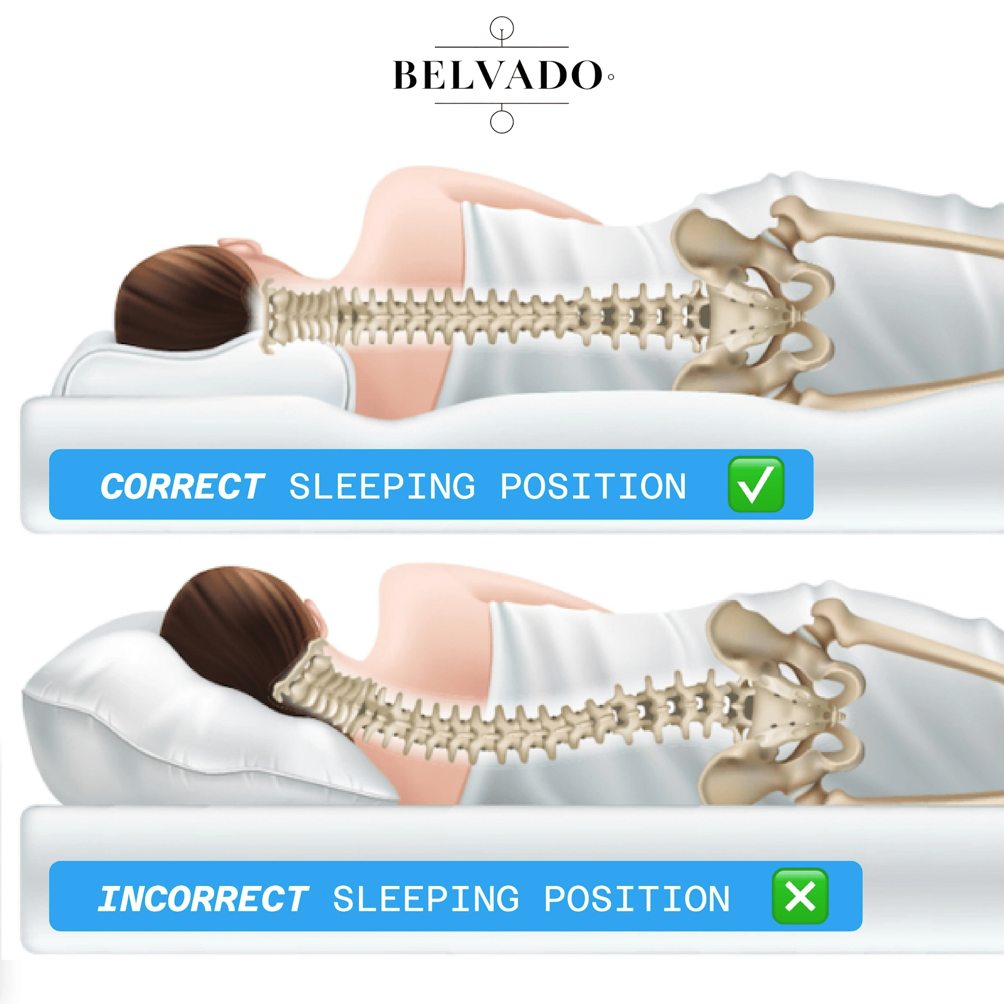 Belvado - Lunexy Contour Relief Pillow - 